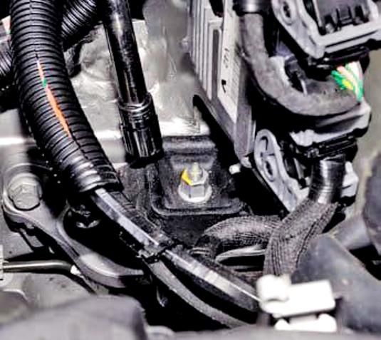 Replacing Renault Duster powerplant mounts