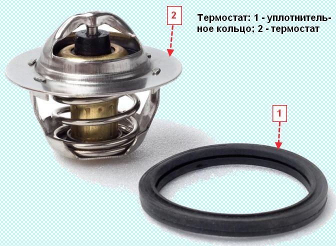 How to remove the thermostat and the thermostat housing of the Nissan Almera car