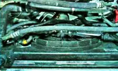 Possible malfunctions of Renault Duster