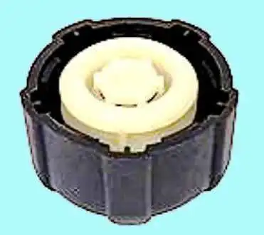 Possible malfunctions of Renault Duster