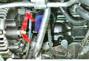 Possible malfunctions of Renault Duster