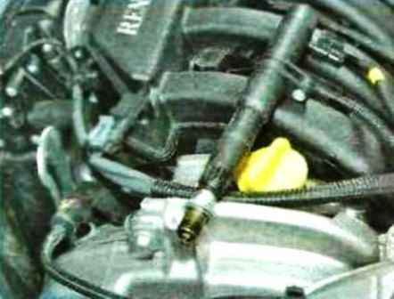 Posibles fallos de funcionamiento de Renault Duster