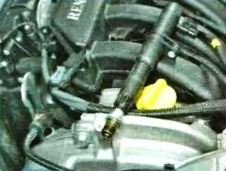 Possible malfunctions of Renault Duster