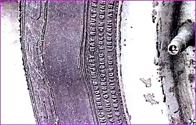 Обслуживание дисков и шин автомобиля Hover-H3/H5