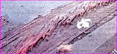 Обслуживание дисков и шин автомобиля Hover-H3/H5