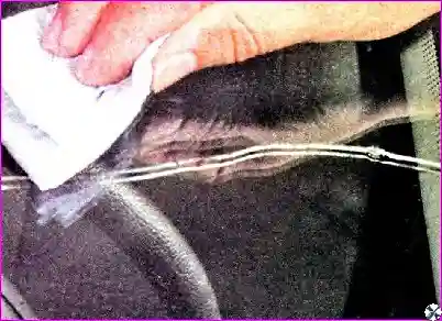 Ремонт трещины лобового стекла Ремонт мелких повреждений ветрового стекла автомобиля