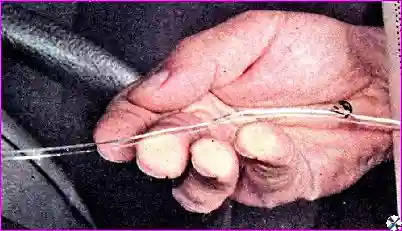 Ремонт трещины лобового стекла Ремонт мелких повреждений ветрового стекла автомобиля