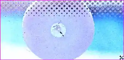 Ремонт скола стекла Ремонт мелких повреждений ветрового стекла автомобиля