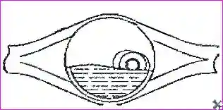 Ремонт редуктора заднего моста автомобиля Hover-H3/H5