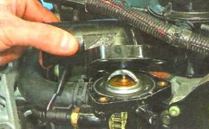 Replacing the thermostat Gazelle Next