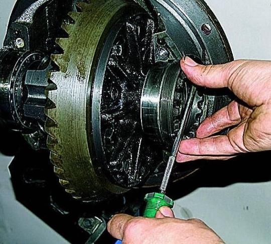 How to disassemble the Gazelle Next gearbox