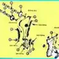 Timing drive Kia magentis in a 2.0 liter engine. - G4KD and 2.4 liters. – G4KE