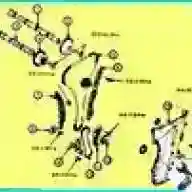 Timing drive Kia magentis in a 2.0 liter engine. - G4KD and 2.4 liters. – G4KE