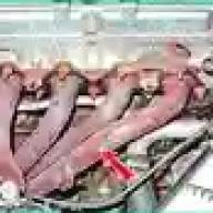 Проверка и замена деталей системы выпуска автомобиля Hover-5